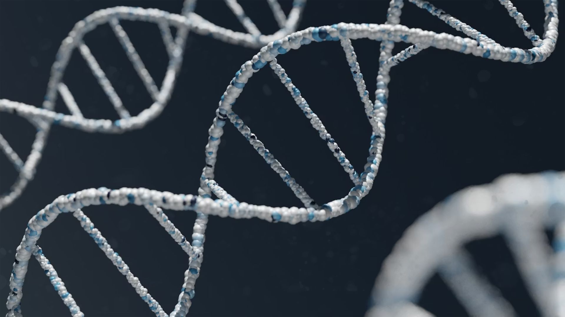 Close-up of a DNA double helix