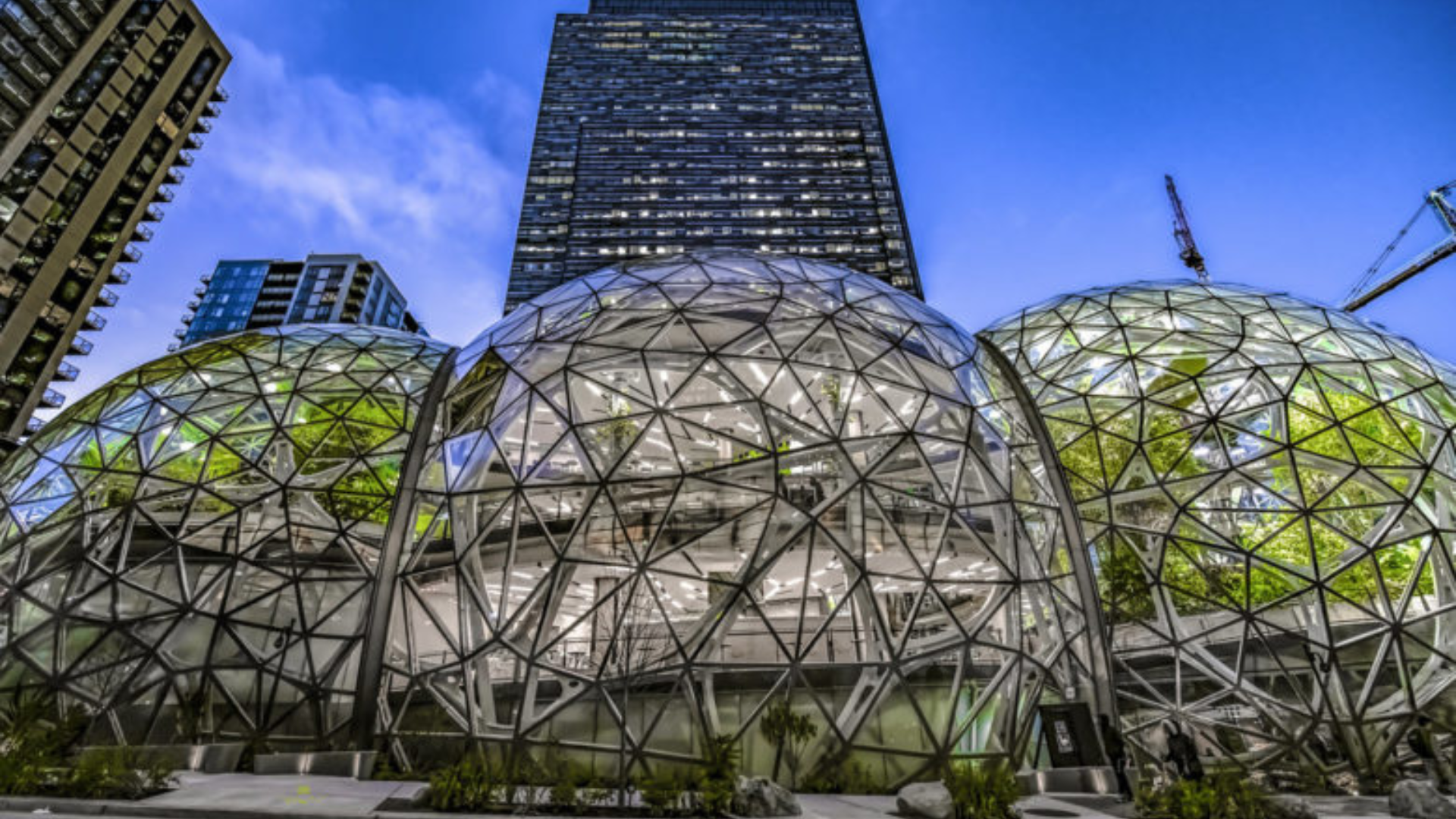Amazon headquarters with glass dome offices and a high-rise tower behind them.