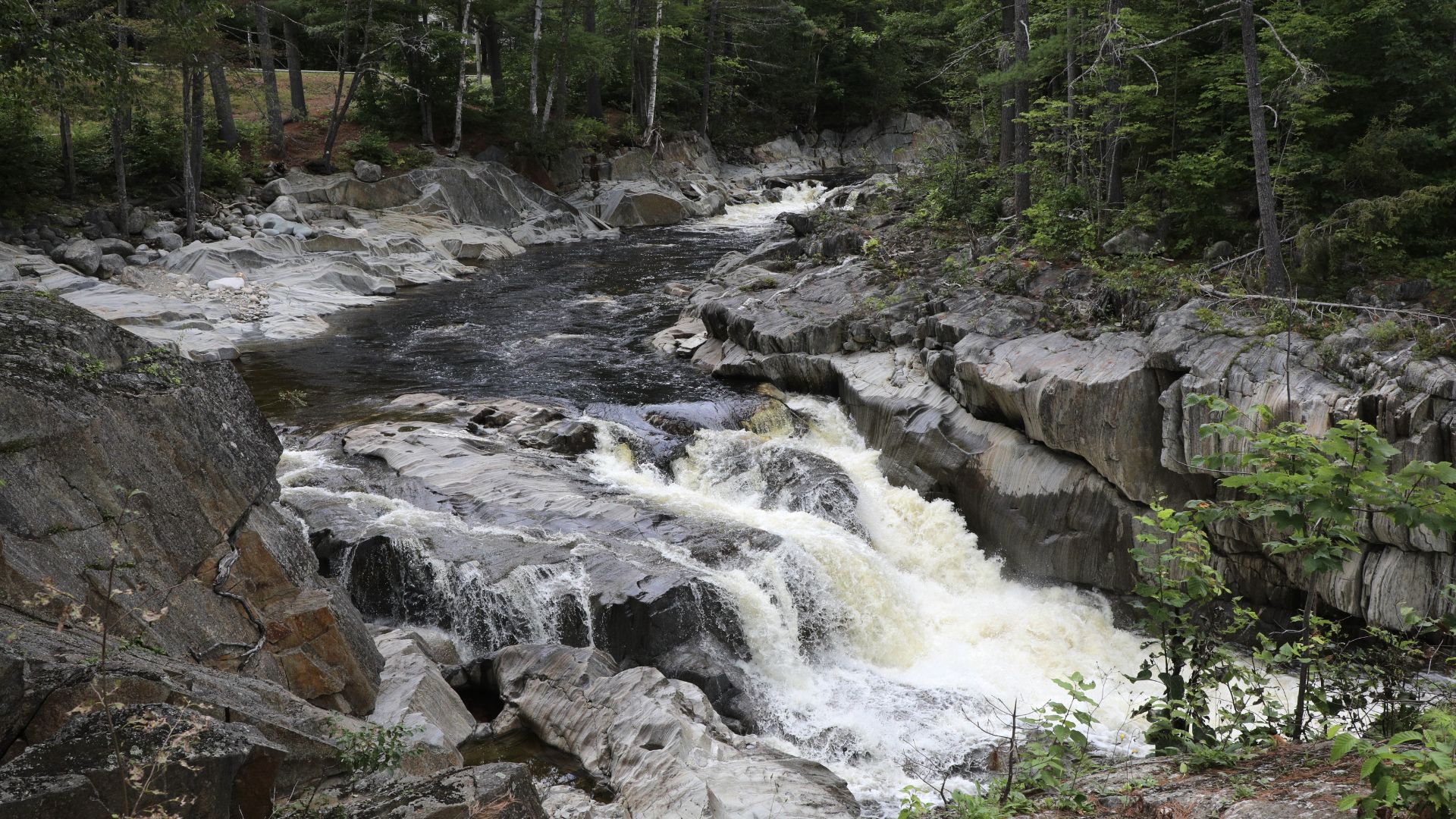 Swift River flowing through forested landscape near Byron, Maine