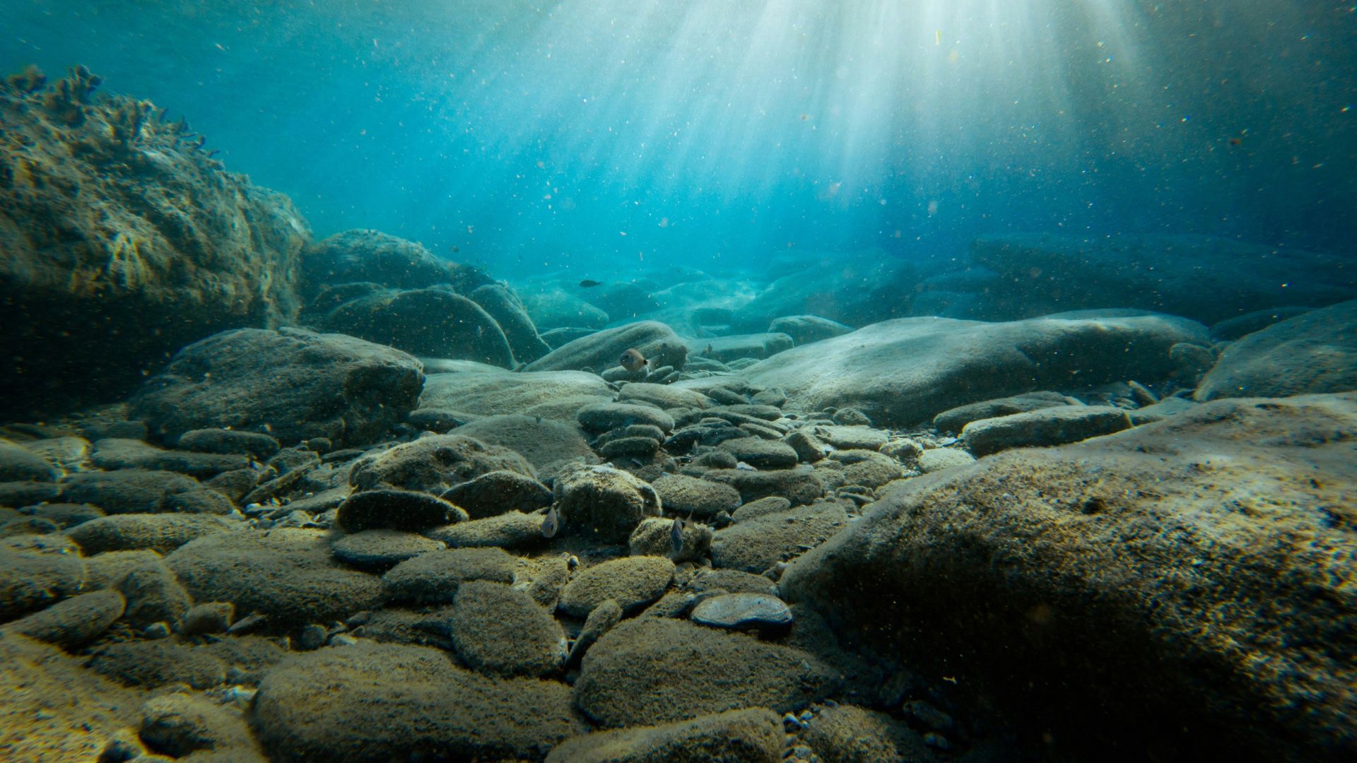 Rocky formations scattered across the ocean floor