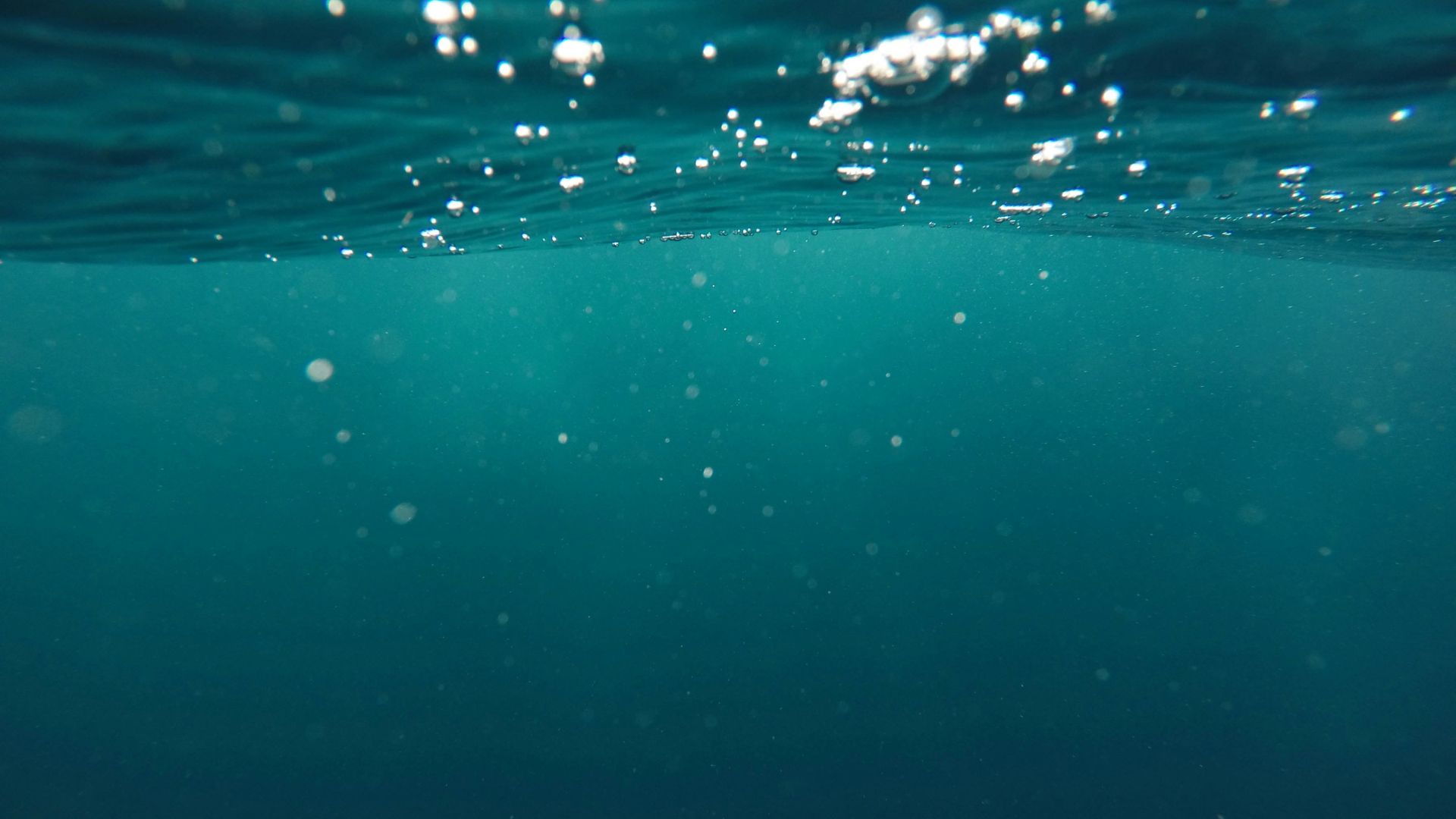 Underwater view looking up toward sunlight filtering through the ocean surface