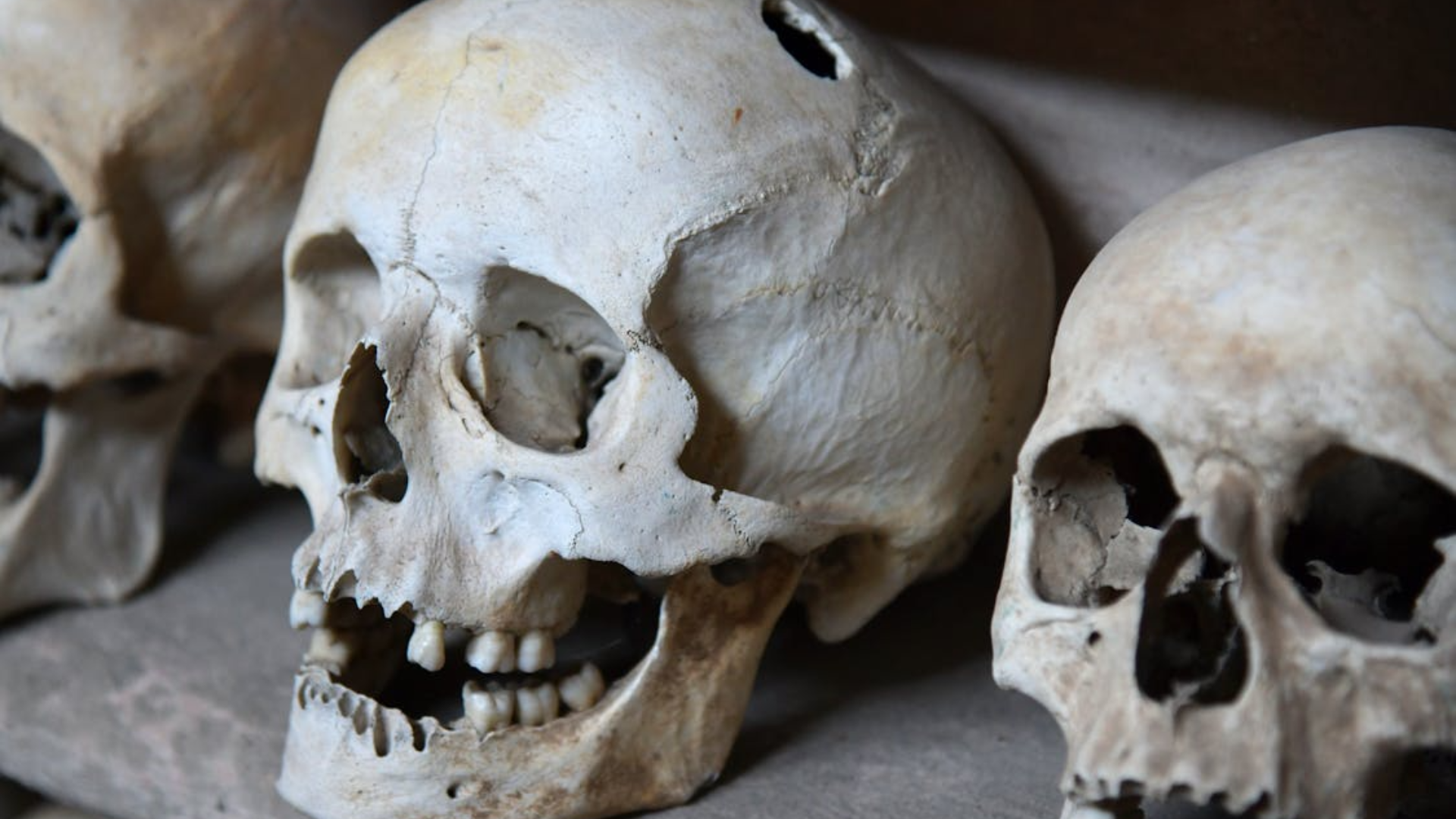 3 Skulls Beside Each Other