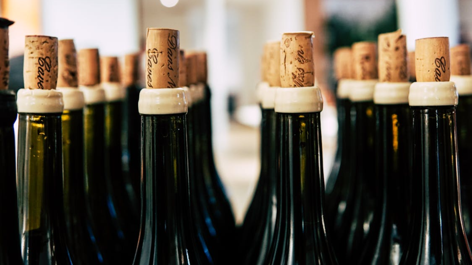 Bottles of Wine All Lined Up With Their Corks Loose