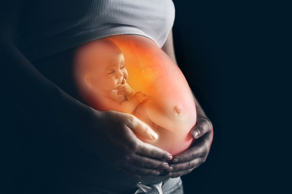 Digital illustration showing a developing fetus inside a pregnant woman’s abdomen with her hands cradling her belly.