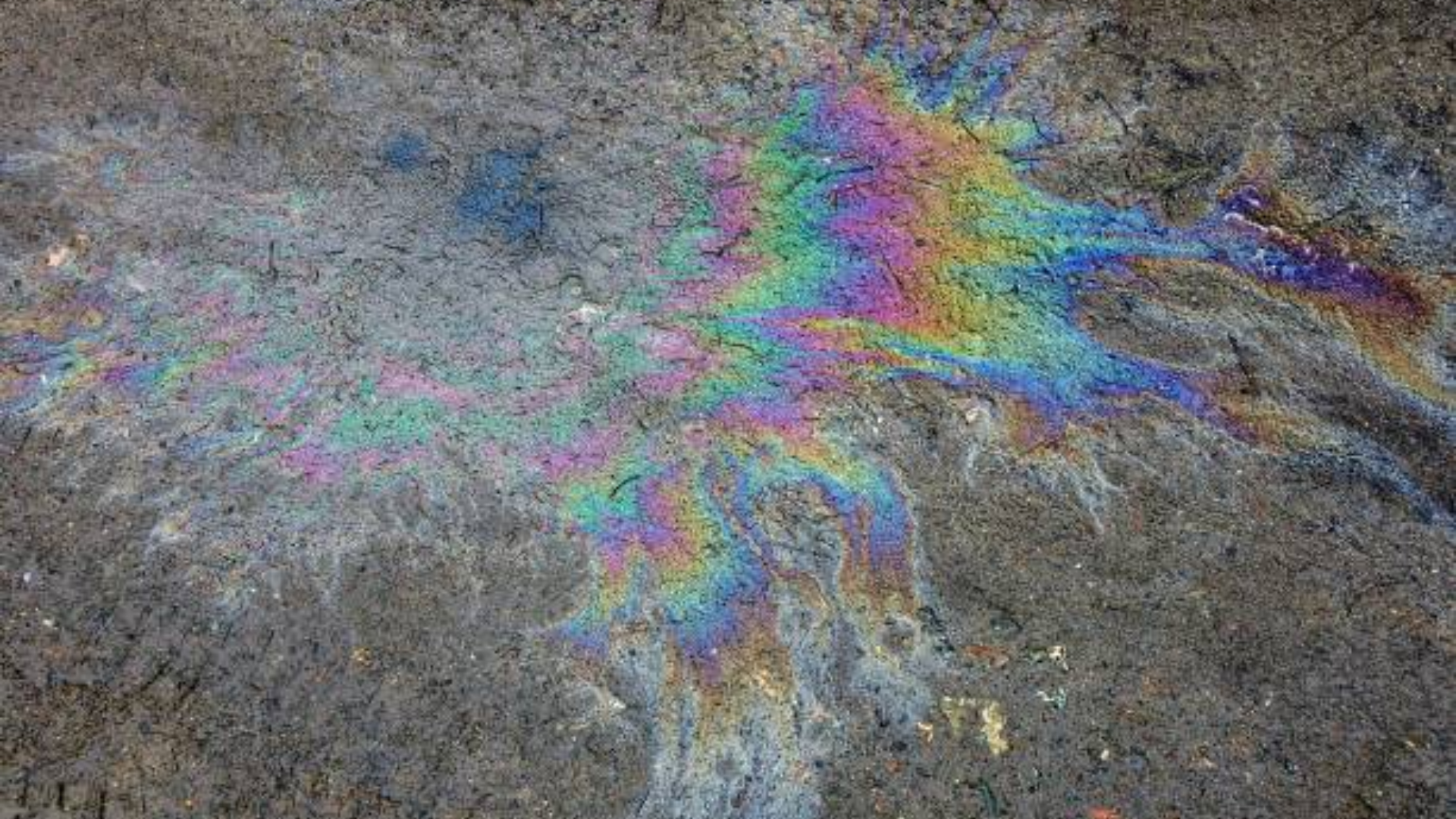 A close-up of a colorful, iridescent oil slick on a wet asphalt surface.