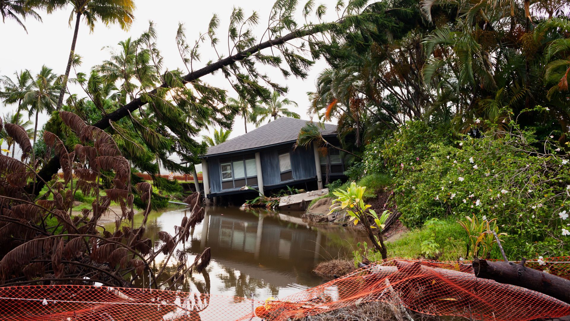 Flooded homes surrounded by muddy water and fallen trees in tropical residential area.
