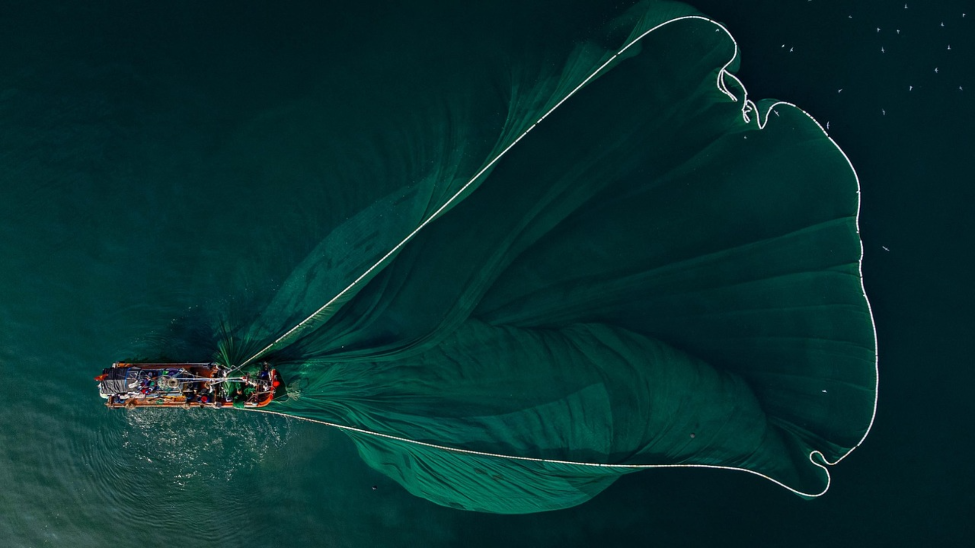 An overhead drone shot of a fishing boat pulling a large, fan-shaped green net through dark water.