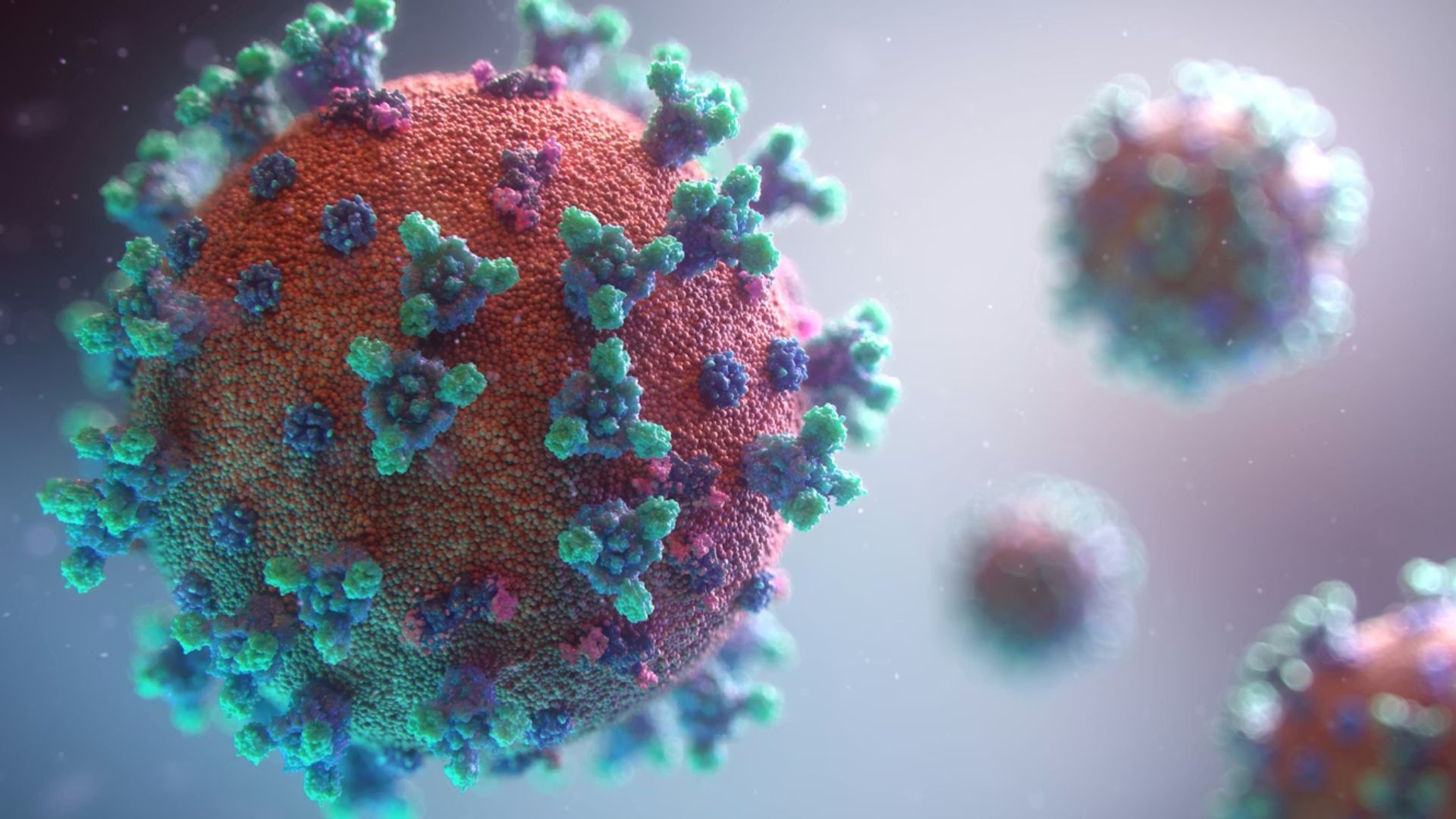 Visualization of the Covid-19 virus, showing a spiky particle, with a textured red surface and green-blue spikes.