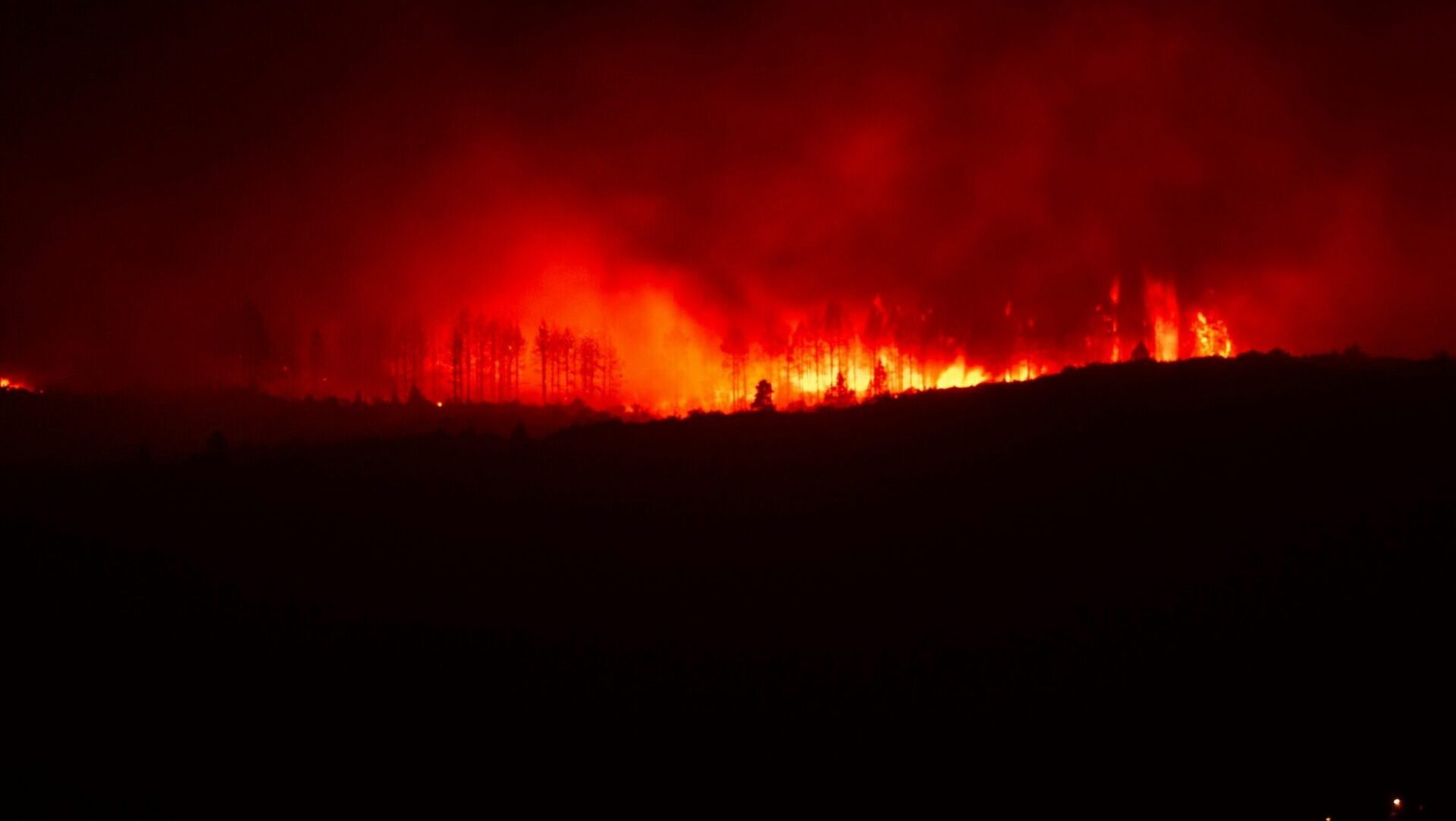 Wildfire burning across hillside at night with intense flames.