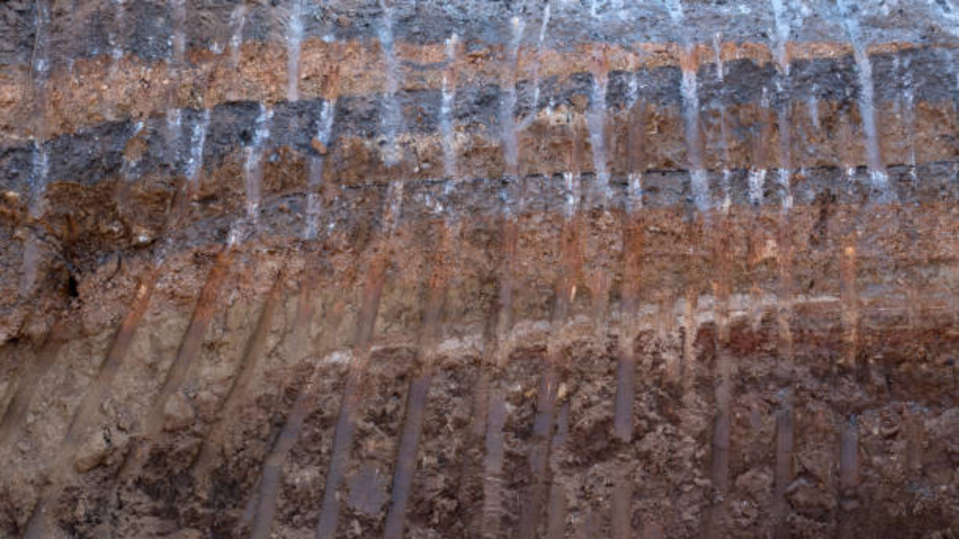 A close-up of a vertical cross-section of layered soil and rock in a trench, showing distinct bands of brown and grey earth with small streams of water seeping through the strata.