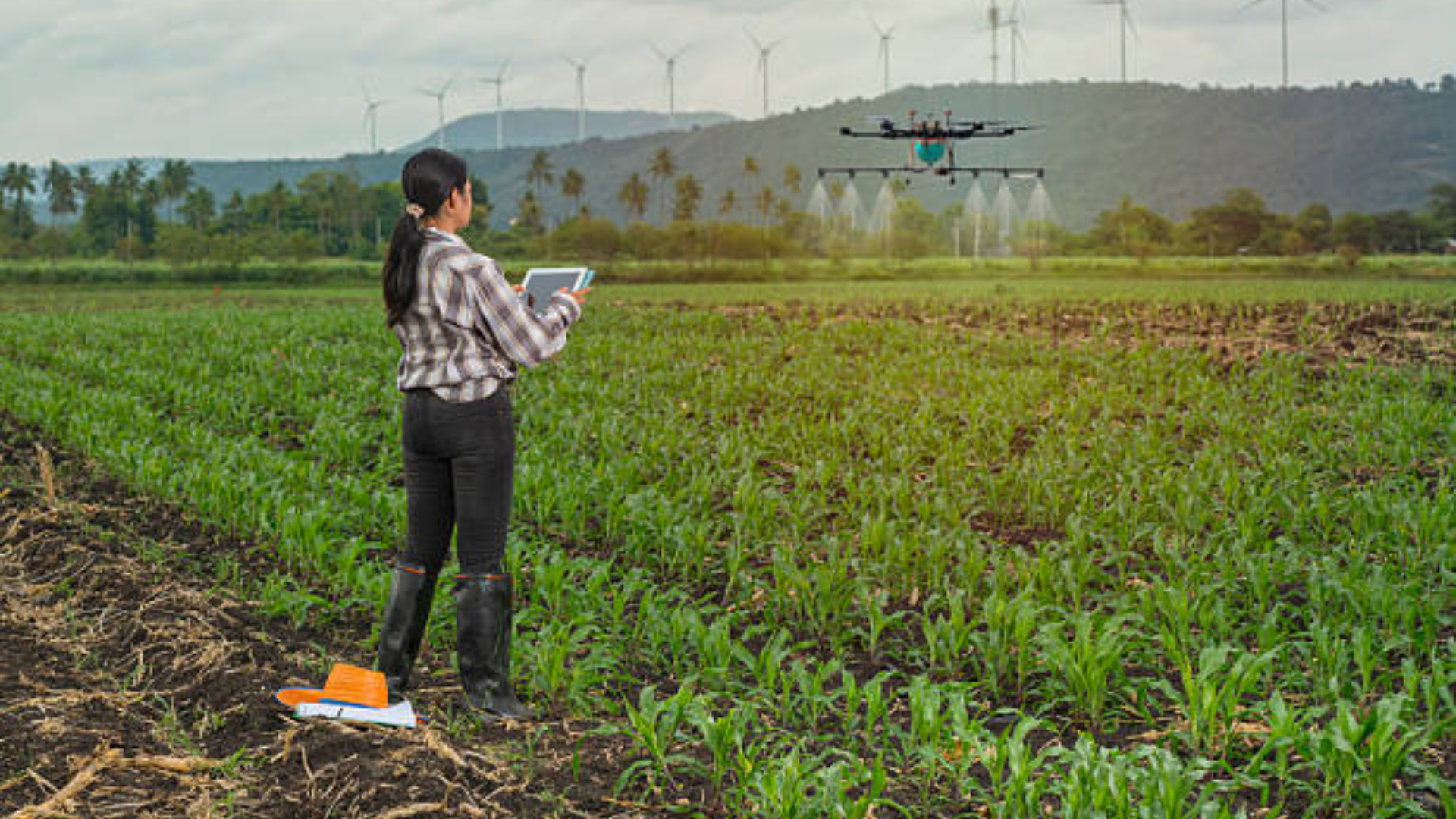 A female farmer wearing boots and a flannel shirt stands in a cornfield, using a tablet to remotely control a large multi-rotor drone that is spraying a fine mist over the crops.