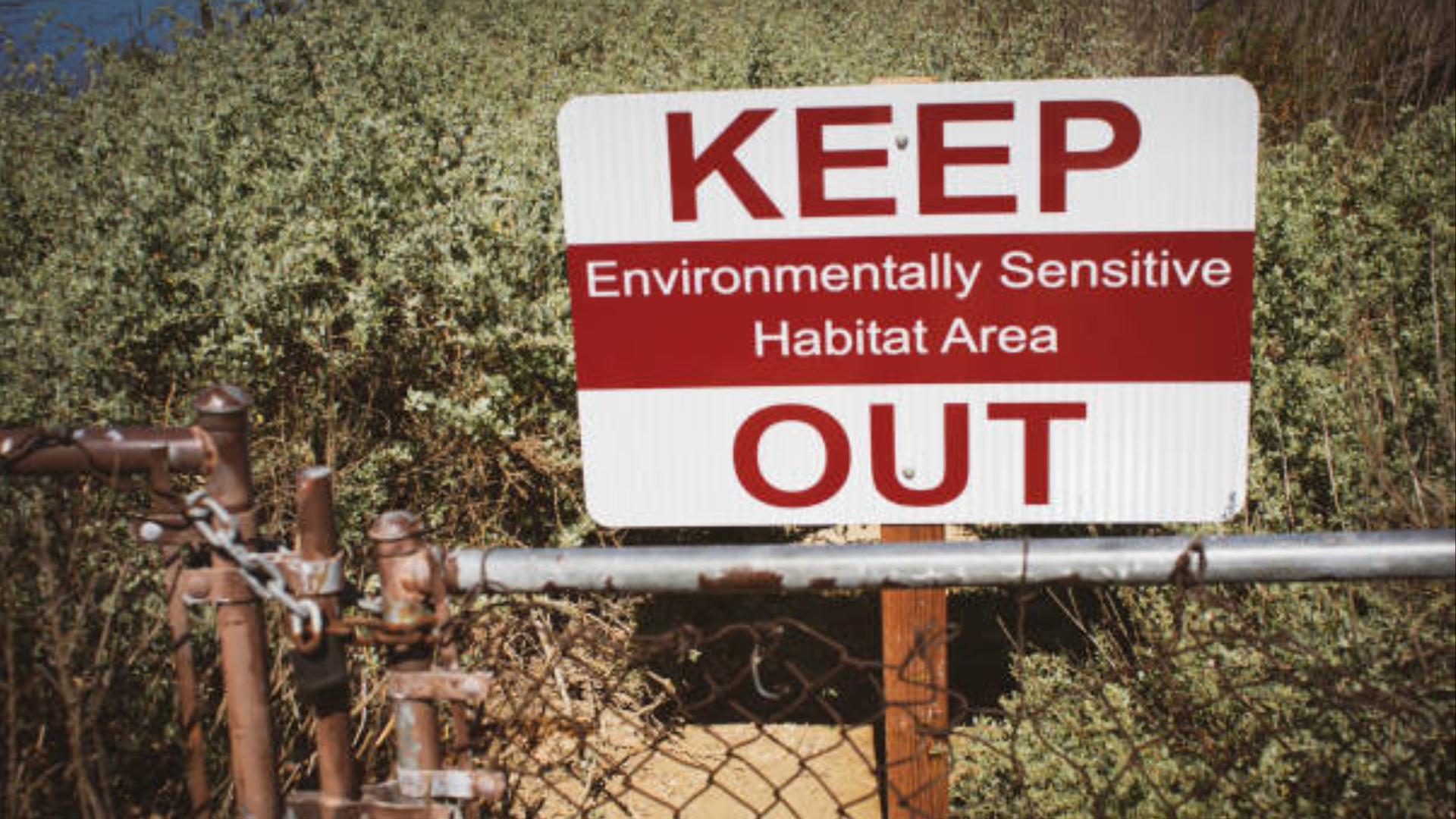 A red-and-white warning sign posted on a chain-link fence positioned in front of a dense thicket of green shrubs.