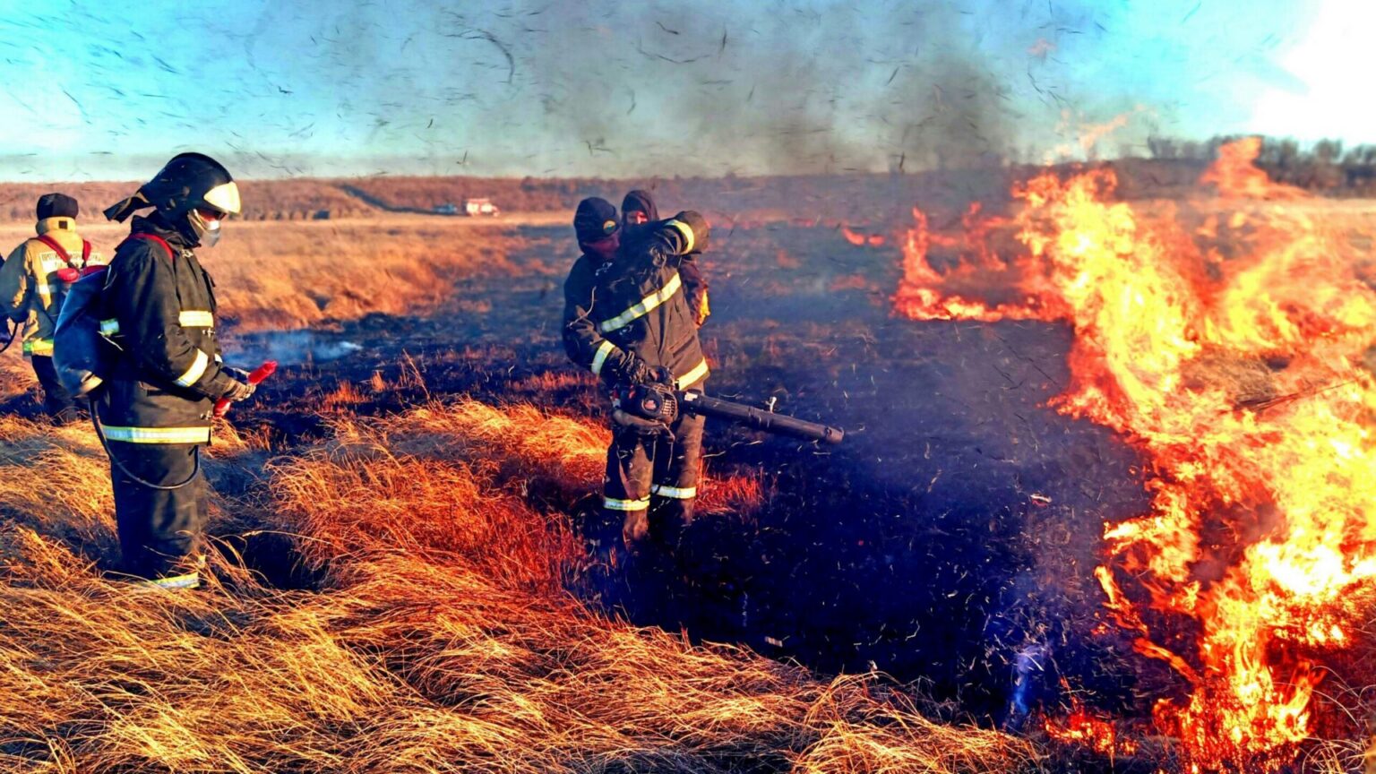 Nearly the Entire Western U.S. Could Face Wildfire Risk This Summer ...