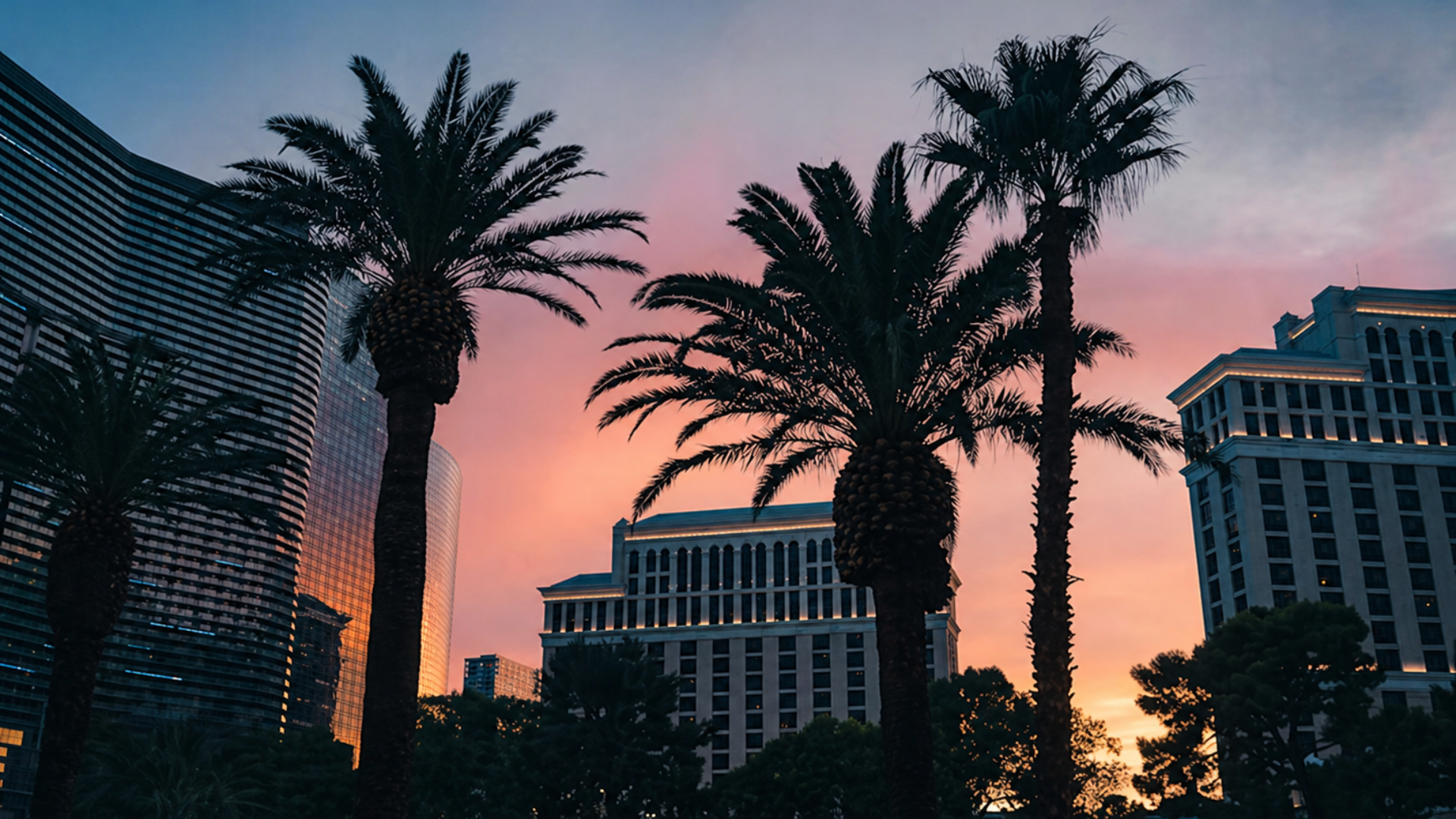 Palm trees and hotel buildings silhouetted against a colorful sunset skyline in a city.