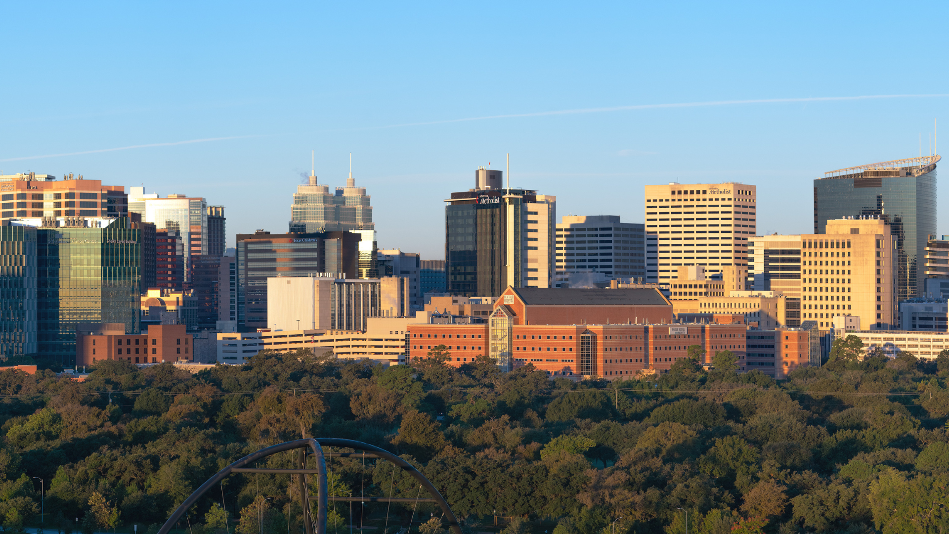  A panoramic view shows the sprawling skyline of the Texas Medical Center in Houston under a clear blue sky, bordered by a dense canopy of trees.