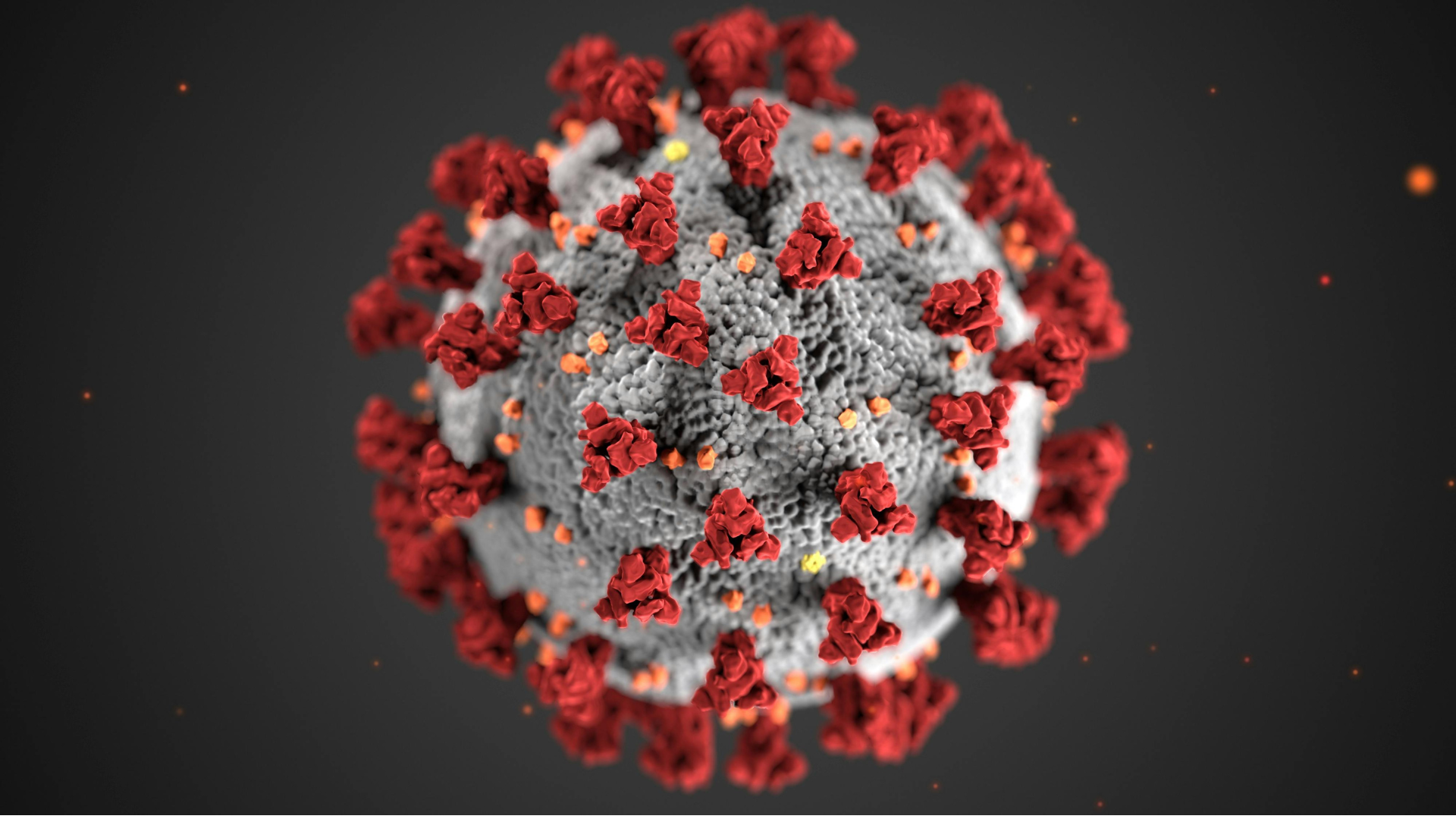 A 3D medical illustration shows a spherical virus particle with a grey textured surface and prominent red spike proteins against a dark background.