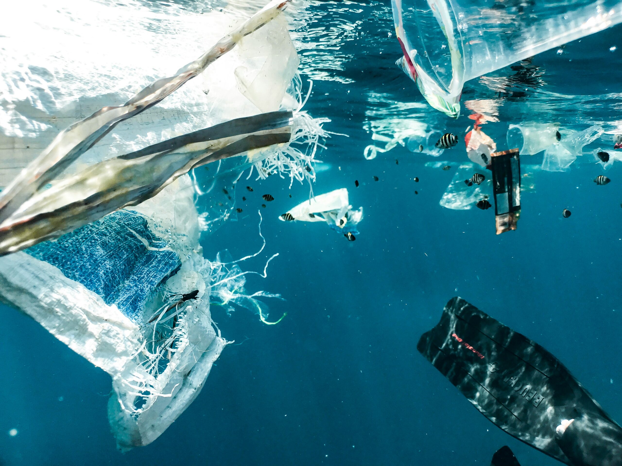Plastic waste floating underwater with small fish swimming among debris.