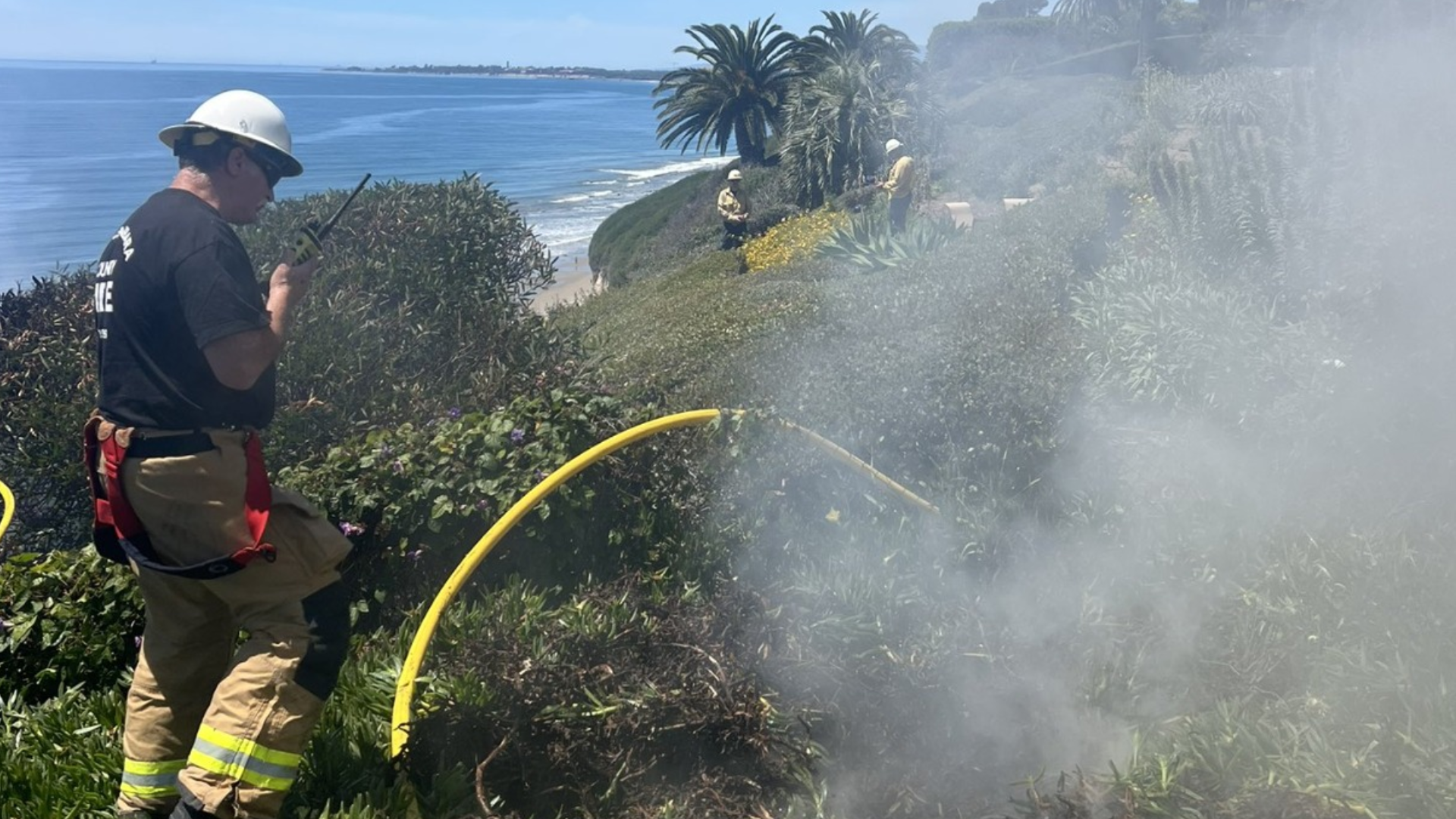 Firefighters stand on a smoking cliffside covered in green plants next to the ocean, working with a yellow fire hose.