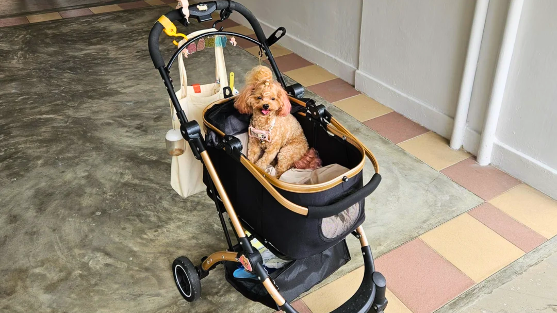 A medium shot of a small, tan toy poodle with pink-dyed ears and a top-knot hair tie, sitting inside a black-and-gold pet stroller; the stroller is parked on a tiled indoor walkway, and a beige tote bag hangs from the handle.