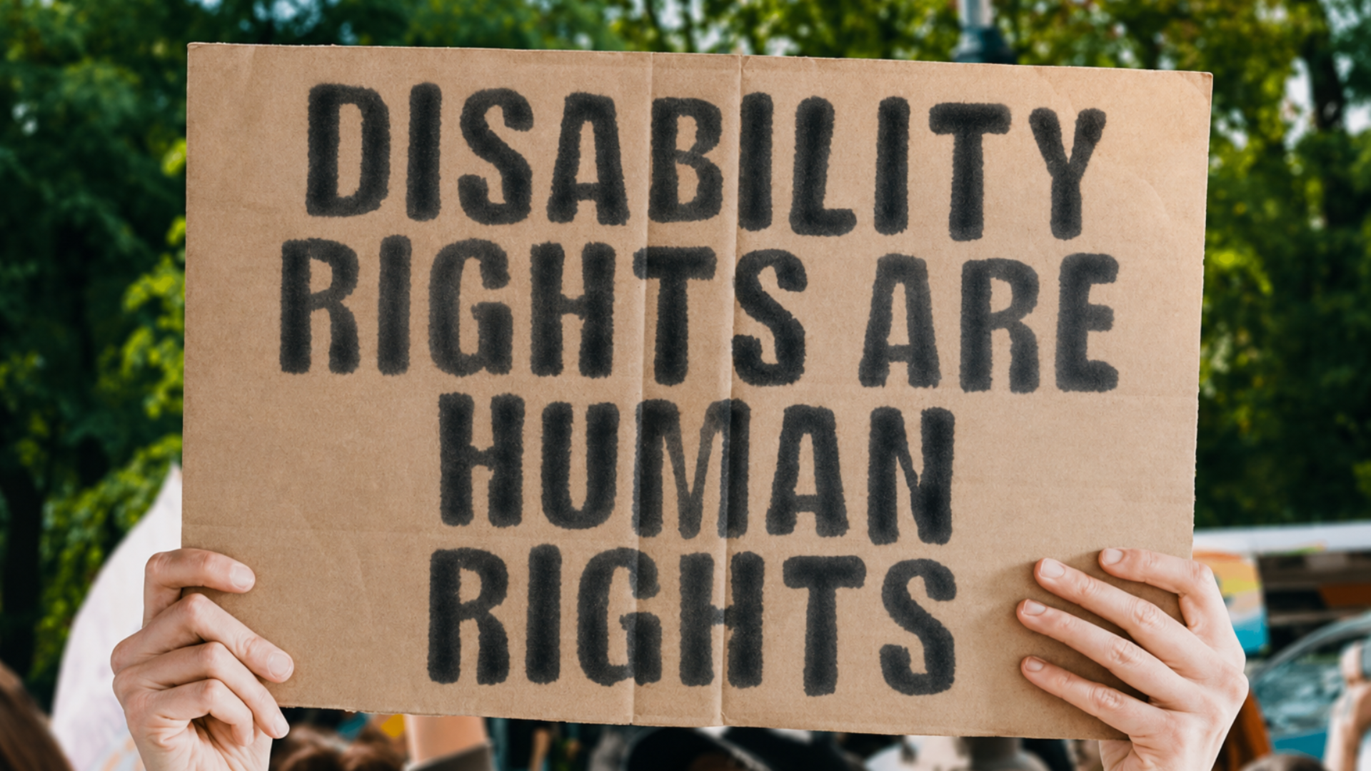 Protester holding a sign reading “Disability Rights Are Human Rights” at a rally.