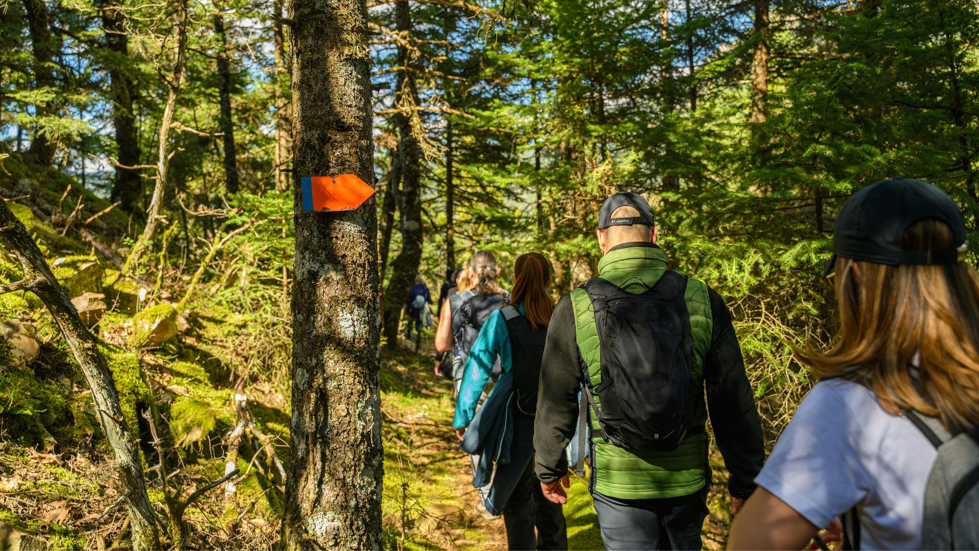 Group of hikers walking along a forest trail in daylight.