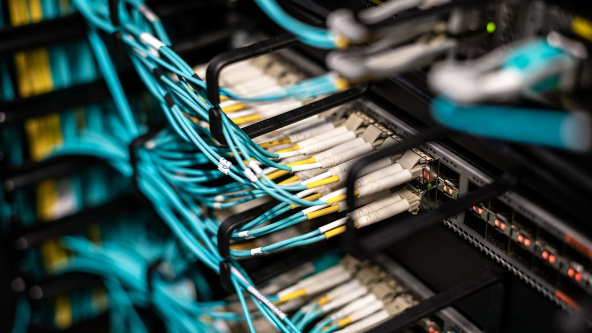 Close-up of teal and white cables plugged into server rack hardware.