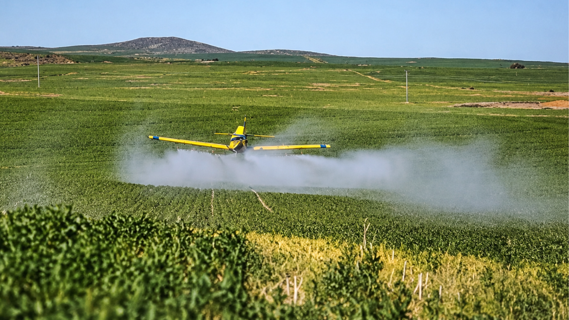 A yellow crop duster airplane spraying pesticides over a sprawling green agricultural field.