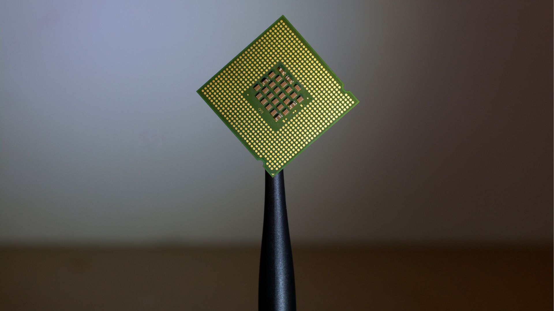 The underside of a square computer processor is balanced upright on a black tool, showing hundreds of gold contact pads and a grid of electronic components at the center. The chip is photographed against a softly blurred gray and brown background that emphasizes its fine details.