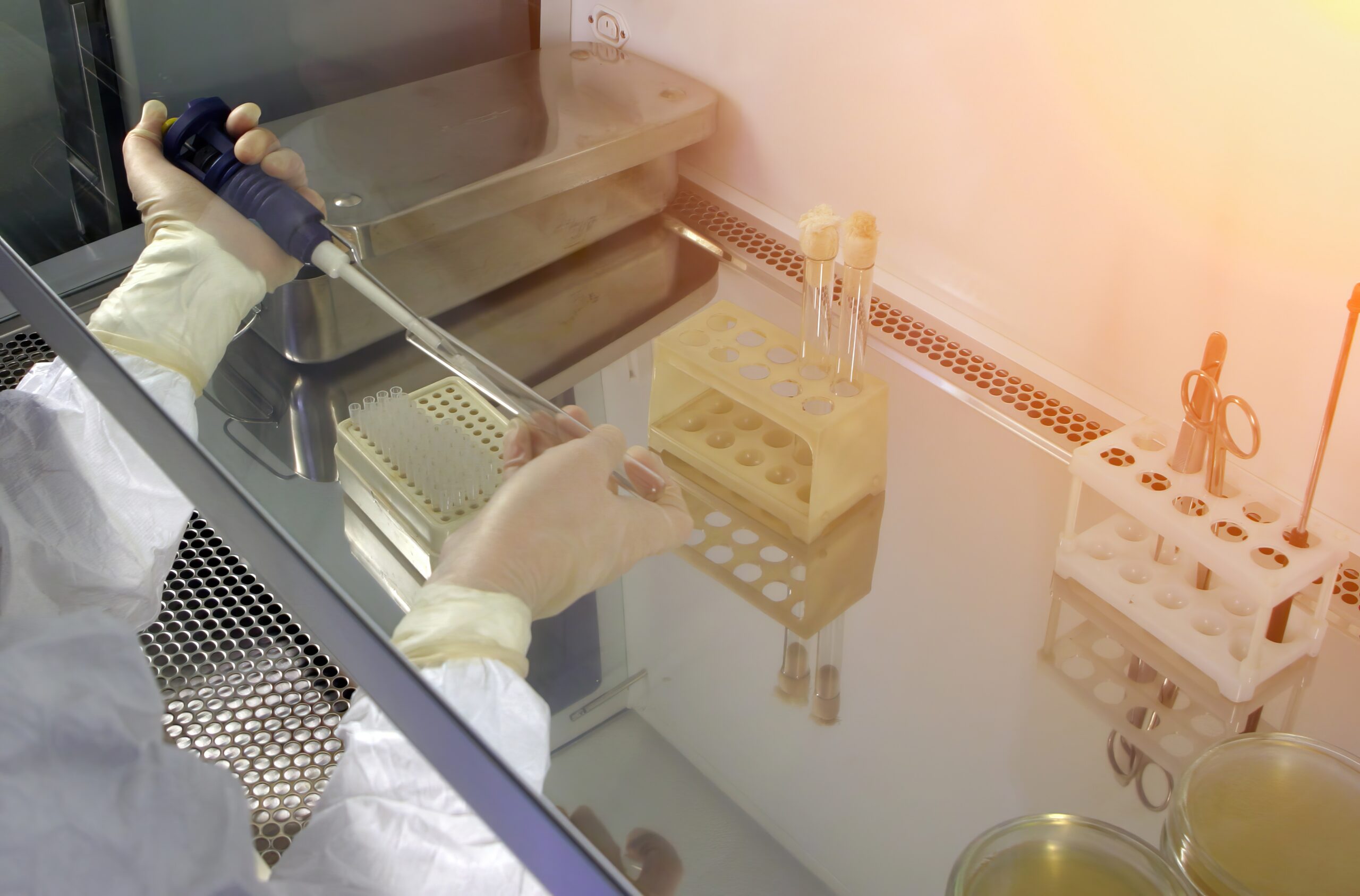 A researcher works with laboratory samples inside a controlled biosafety environment.