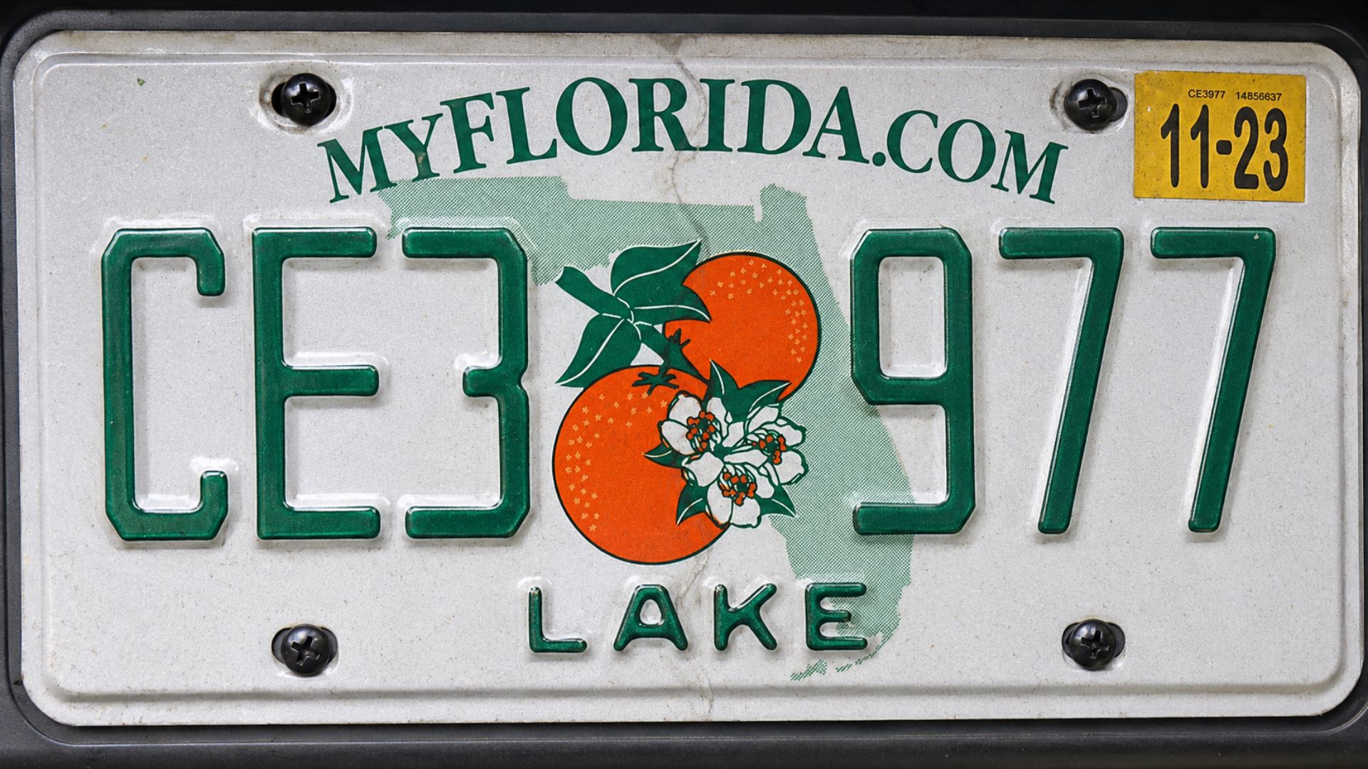 Florida license plate with orange graphic and county designation displayed on a vehicle.