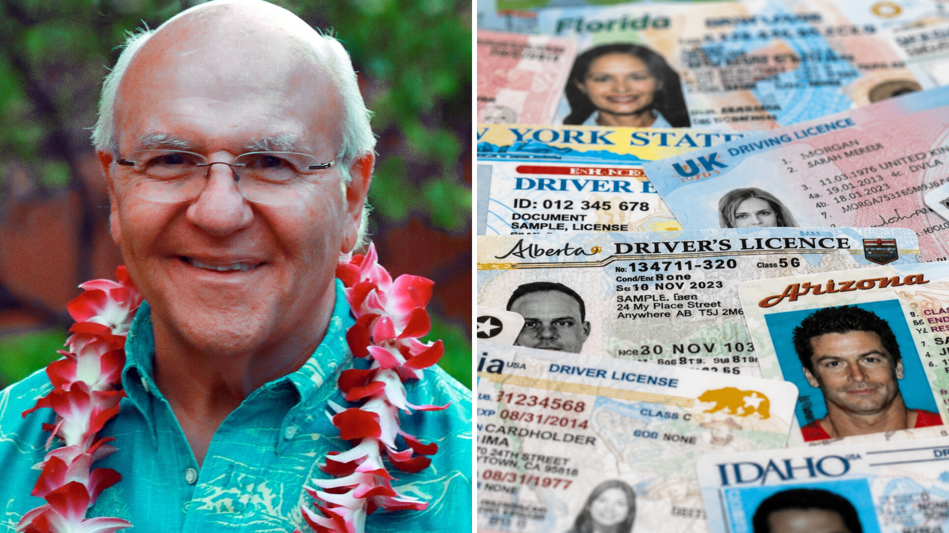 A split image showing Mayor Rick Blangiardi wearing a flower lei alongside a collection of driver's licenses.