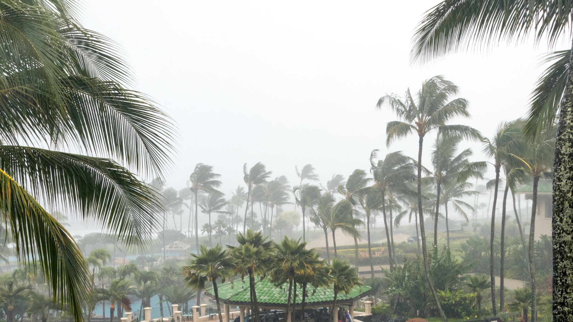 A hurricane approaching the coast of Hawaii, with palm trees bending under heavy rain.