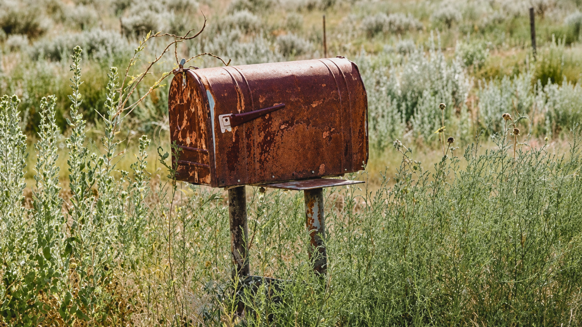 An old, rusty metal mailbox standing among tall weeds along a rural roadside.