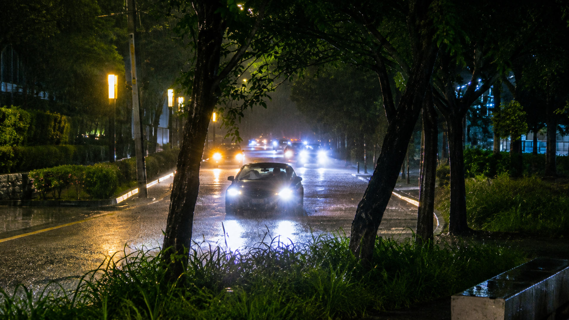 Cars driving on a wet tree-lined street at night in heavy rain with glowing headlights.