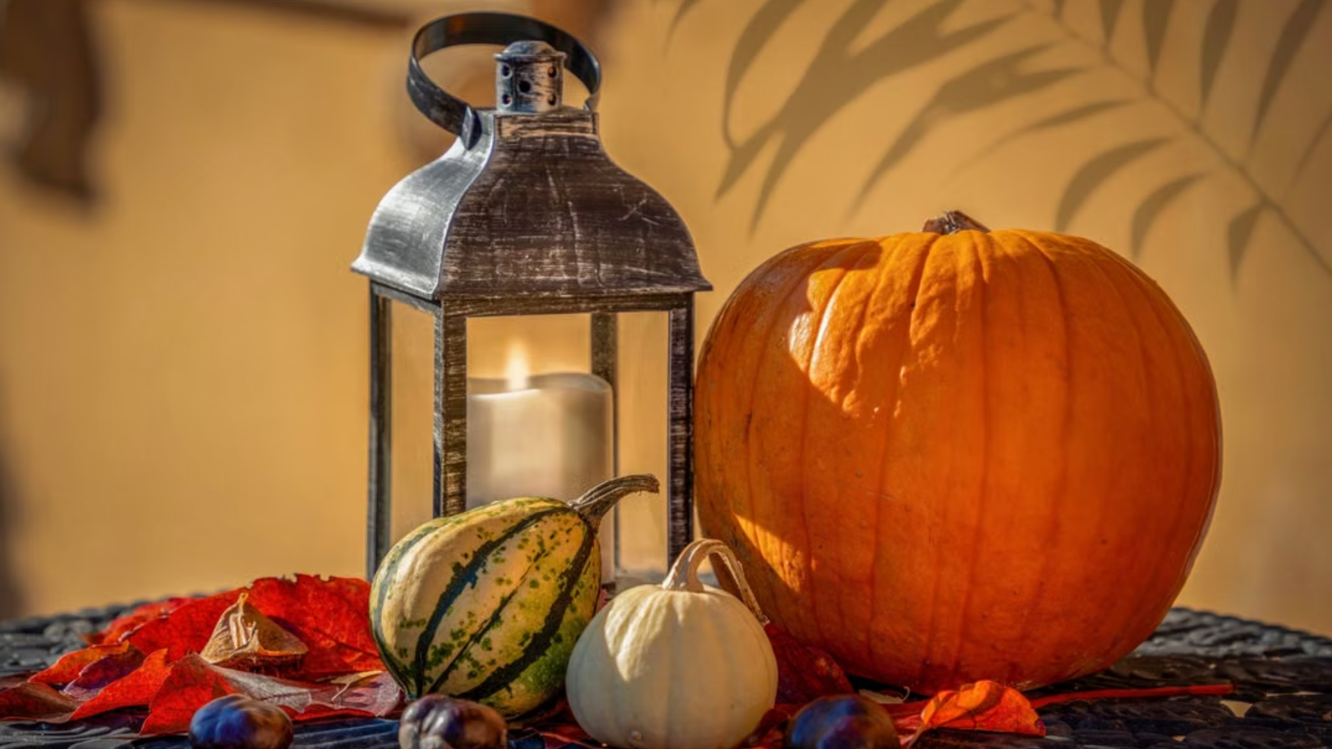 A glowing lantern next to a pumpkin, gourds, and autumn leaves.