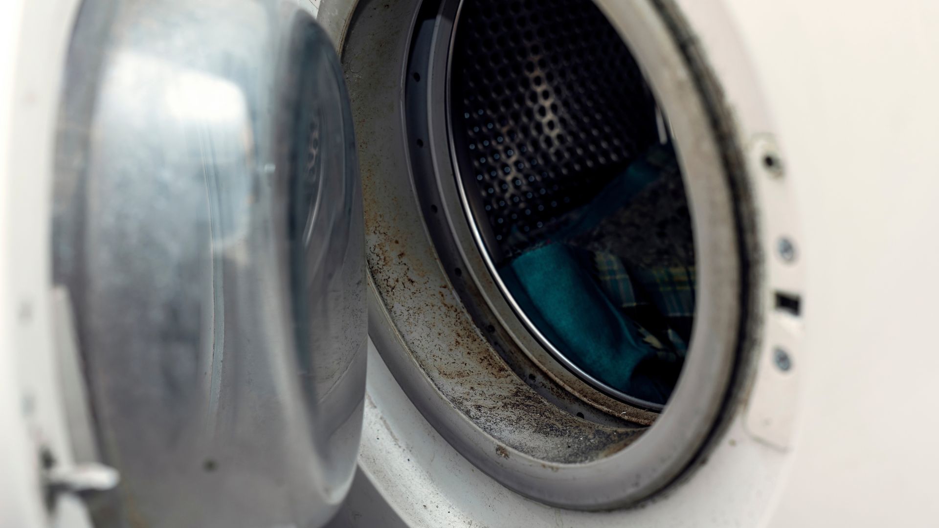 Close-up of an open washing machine door seal with visible mold and grime.