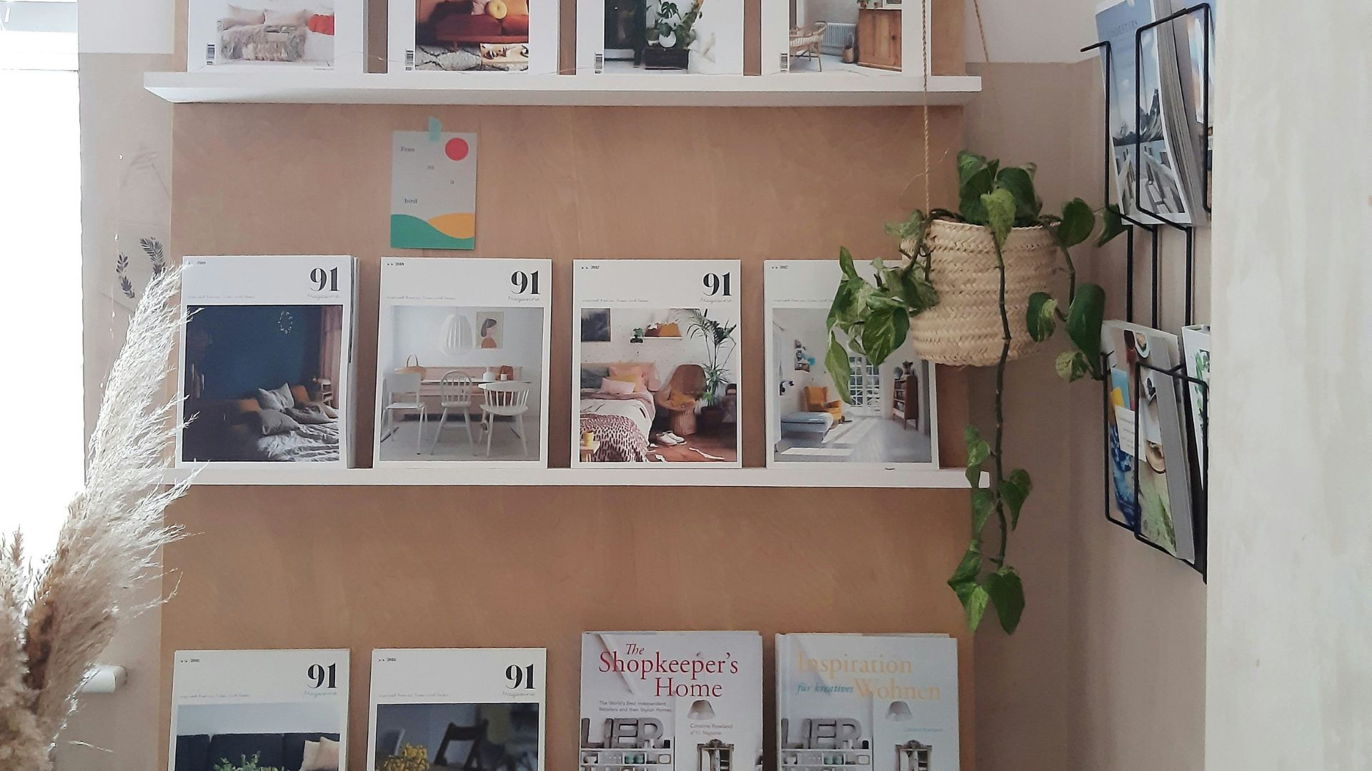 Wall-mounted shelves displaying home decor magazines and books beside a hanging plant.